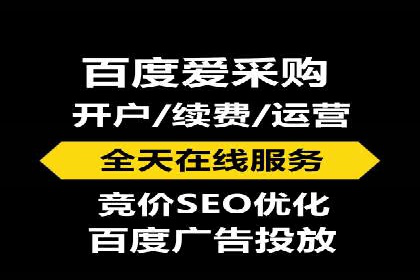 网络推广与竞价广告：双管齐下的策略案例